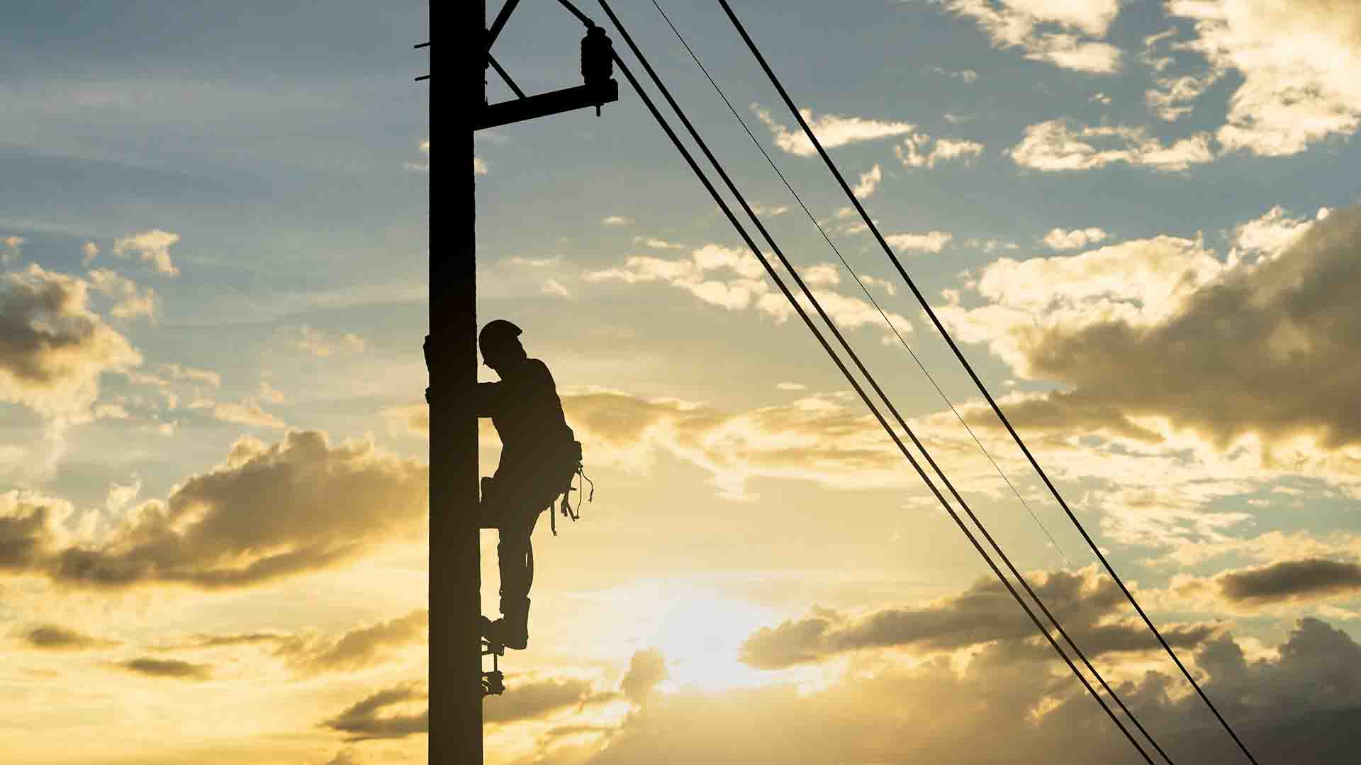 Training Line Workers How to Safely Climb and Self-Arrest with TRUBLUE Auto Belays