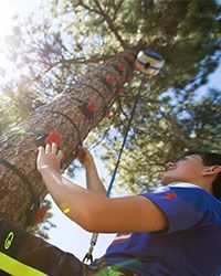 Arboreal Tree Climbing System setup on a tree for kids and adults